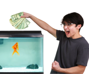 Michael Reeves goldfish: celý příběh